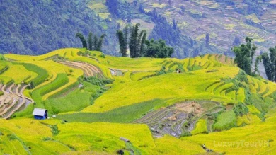 A Day For Trekking In Sapa image 3