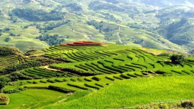 Sapa Trekking 2 Days - Home Stay image 1