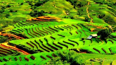 Sapa Trekking 2 Days - Home Stay image 4