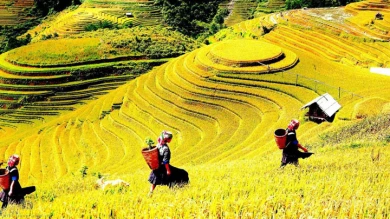 Sapa Trekking 3 Days - Home Stay & Hotel image 5