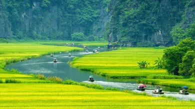 Hoa Lu – Tam Coc 1 day tour image 6