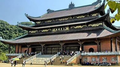 Bai Dinh Trang An day tour image 1