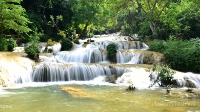 Cuc Phuong National Park - Full Day Tour image 8