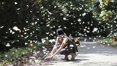 Cuc Phuong National Park - Full Day Tour image 4