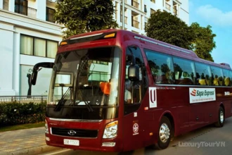 Sapa Express: Hanoi to Sapa Seats Bus image 3