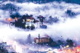 The Best Sapa Tours You Should Try