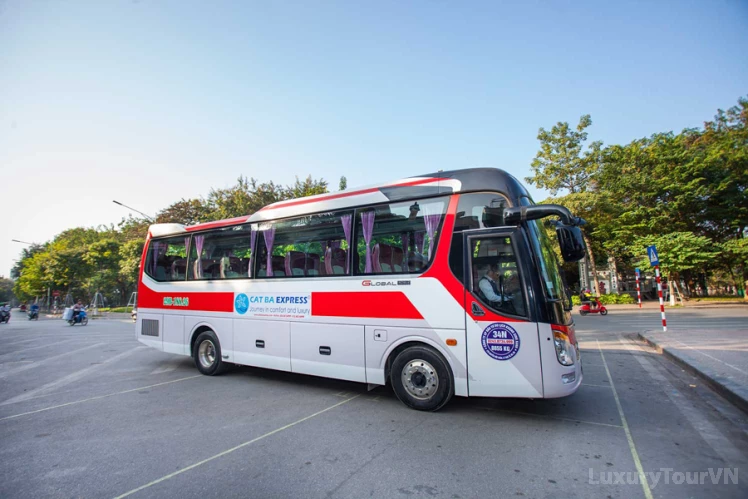 Ninh Binh to Cat Ba Island: express bus and ferry image 0